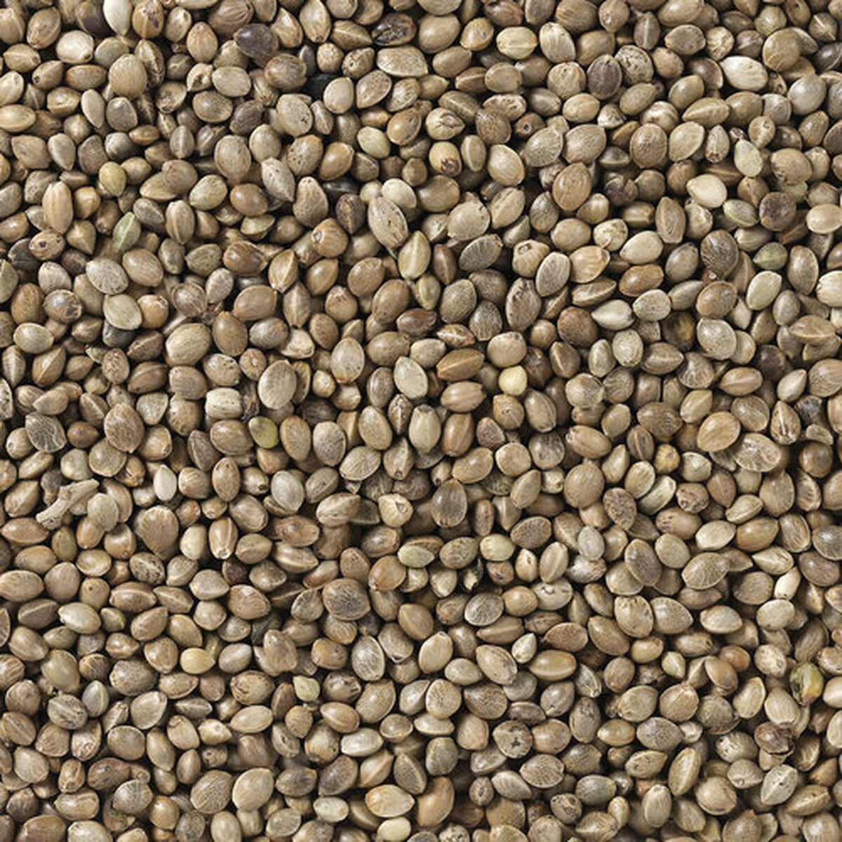 V7H39BCC0A9733A2E4DDC9CCC58BDF7271DR7449983P4