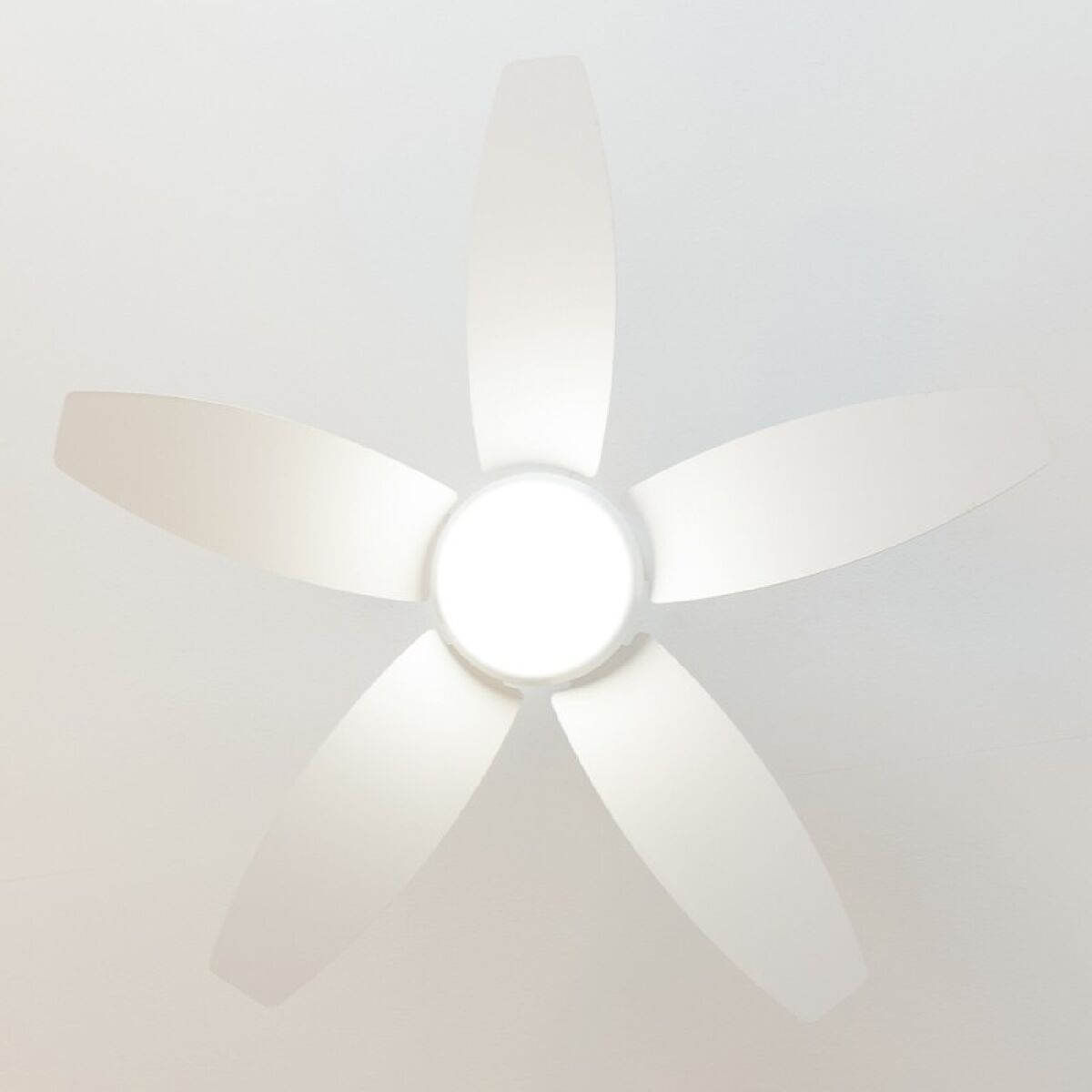 V4HBF3E6DCCB574B40C06A9533F305F52B1R5321981P4