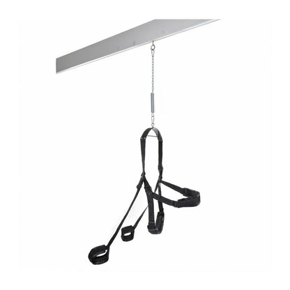 V4H016441662A7C055567E19560988A1482R5085105P3