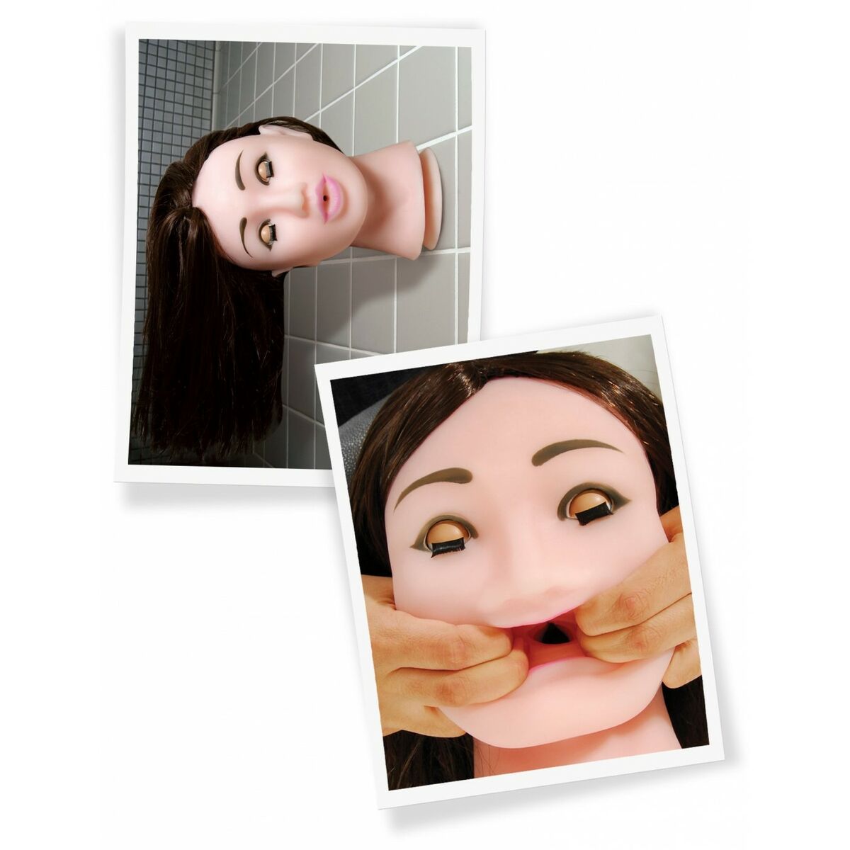 V1HB11ED255D11E963373B3336E23406681RP5