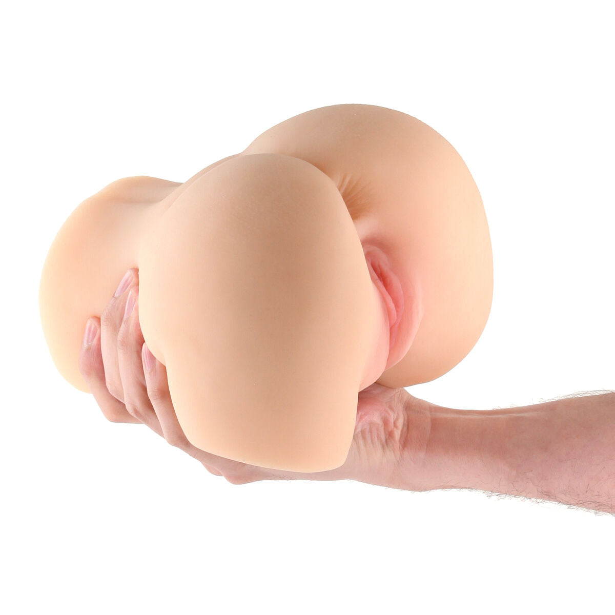 V3H0260116614DD4C0928FACC1293DD6390R5116656P2