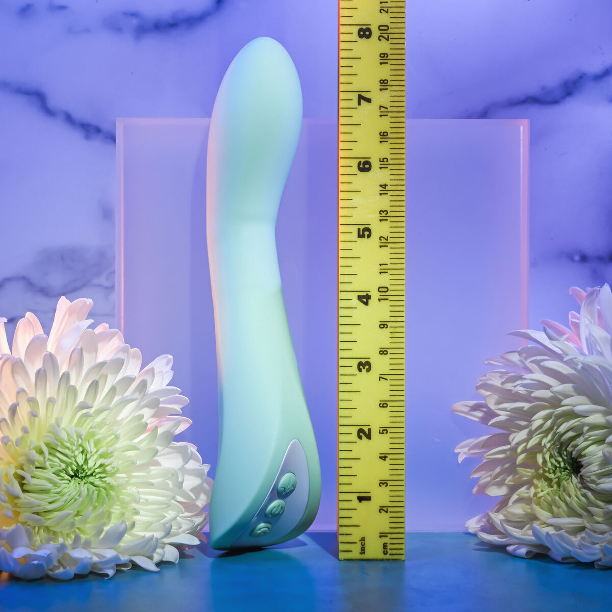 V4H909855218120A9CC79D1006D448EE43DR4865538P9