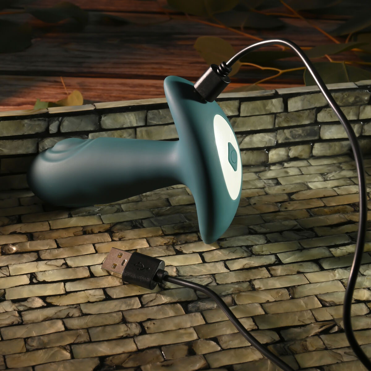 V4H1847A01018AEBECE75EAA5895EA721A5R4901481P6