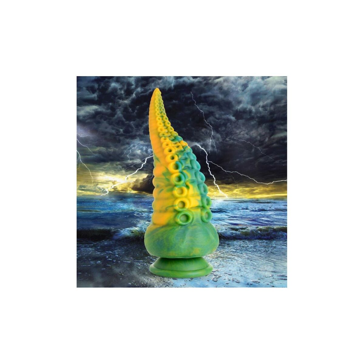 V5H8998E85AD72FCCDCC4D70504DD342650R5572019P2