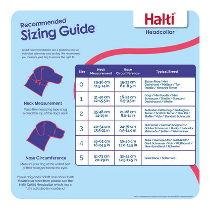 V9H456711F3379C73813299C10351C90CA0R2354082P3