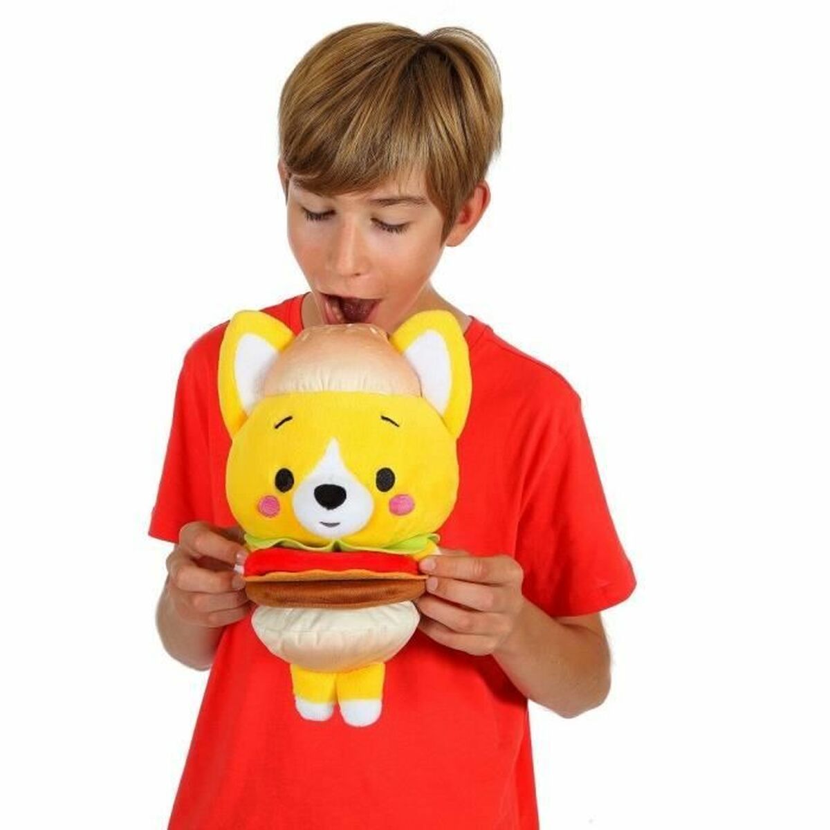 V2H11E1A204755067BF1772B6D42527F477R5877778P3