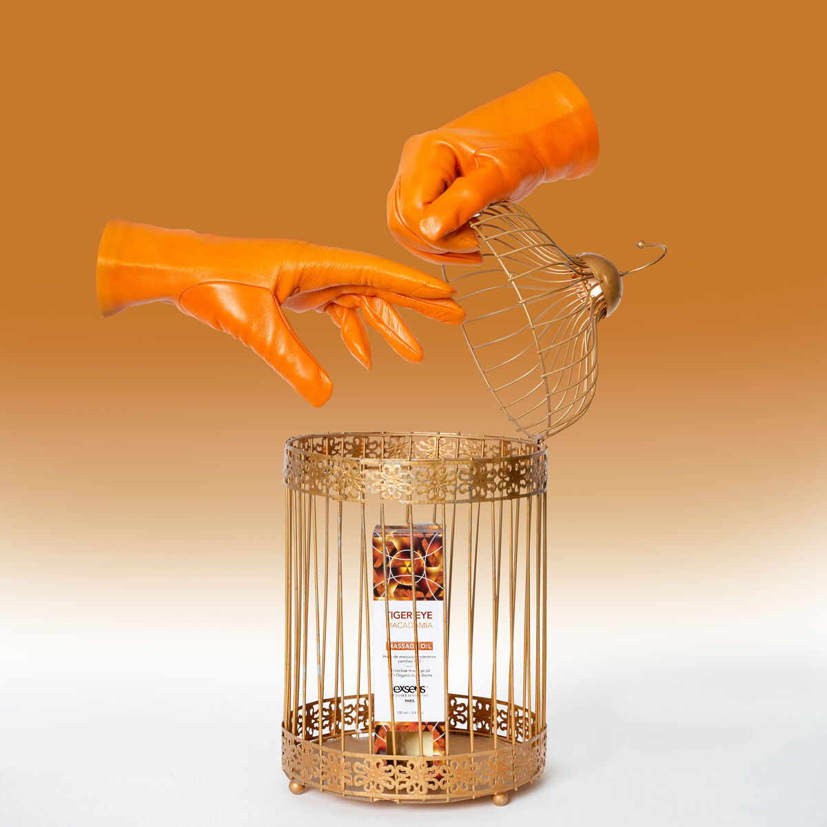 V4H40694A2C214522A825324F471999CCC9R4631729P7