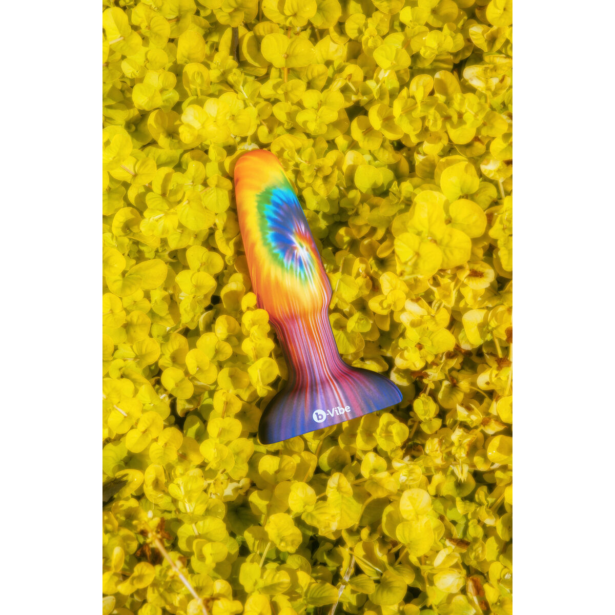 V2H666EEC016C1194C20F75A31C8E38BE13R6456403P4