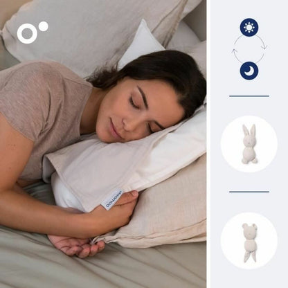 V3H998DF929BE8FE7A079D578FE2B0B288ER5169294P3