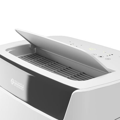 V1H53F35FF613B5C44B7F4CFA85BE8E3C8FRP2