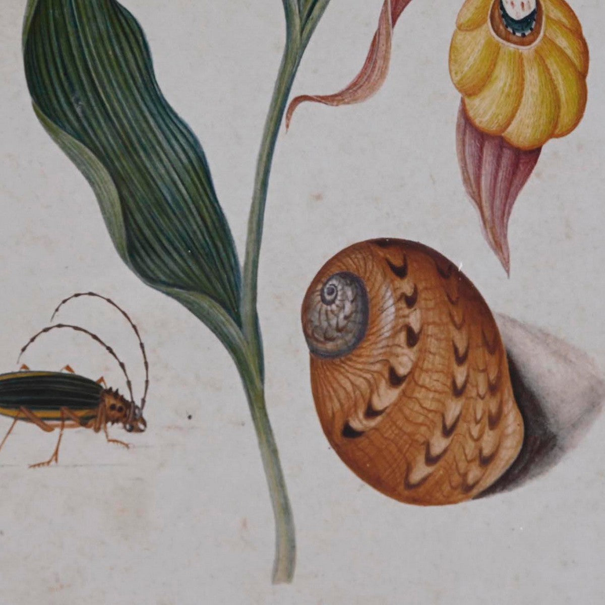 V10HCB316EBA705A96666ED77F68E8CE51A9R6372052P3