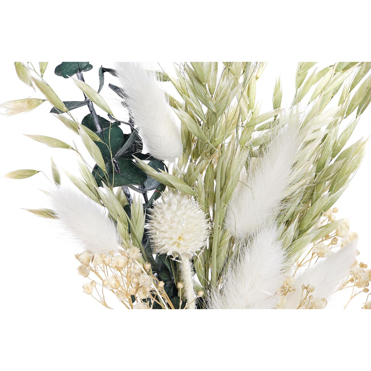 V7H45F6F63EAAF3EC4E316D4D85BFE4099FR4417487P2