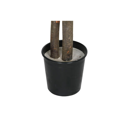 V10H60F8A9BB69988747F5E87C145980A4D6R6381729P4