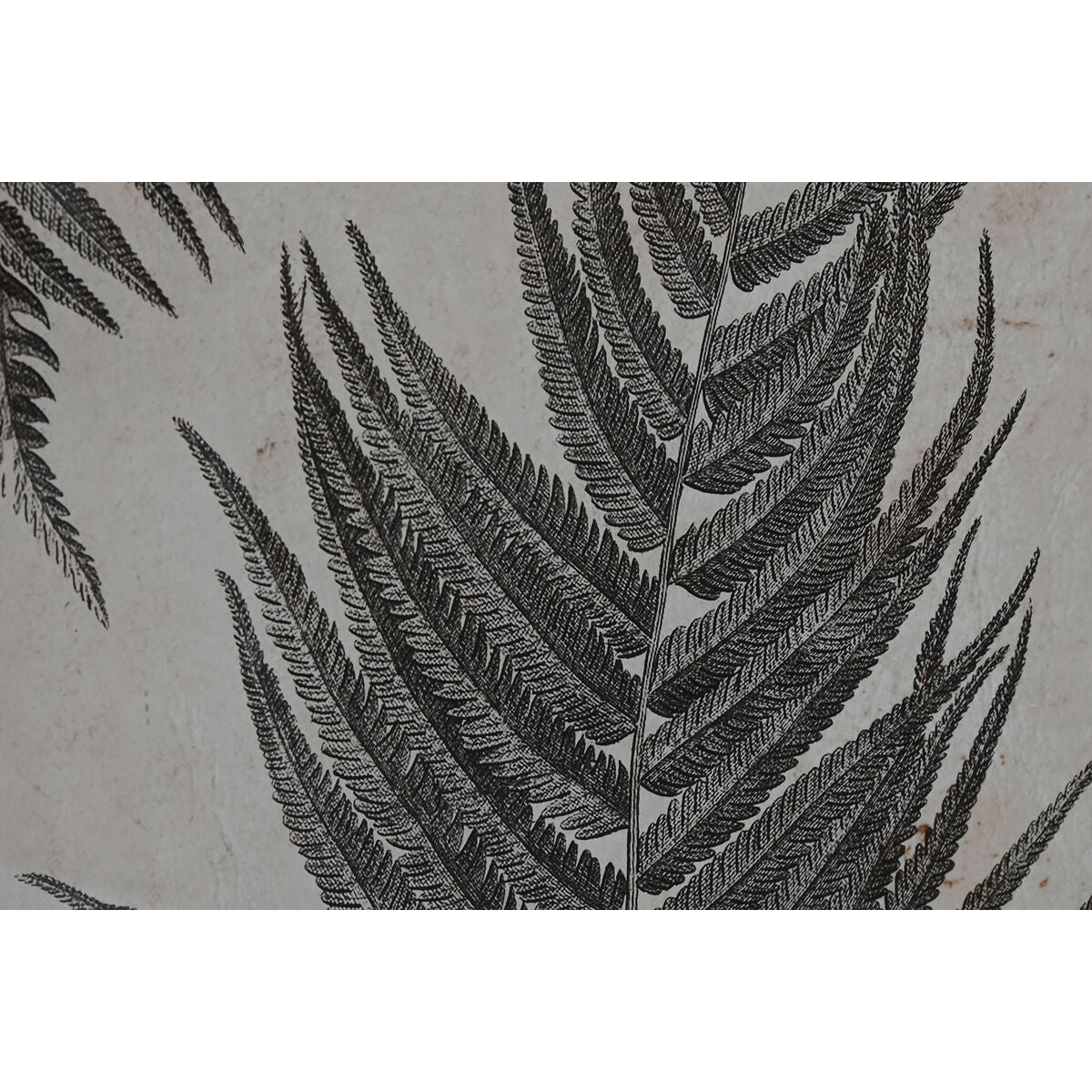 V9H4457B3DE2435646A5A7E3601C14CC036R6371820P3