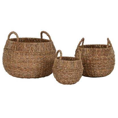 V5H1B02078E7D0FDF60D54B28422126FAF5R5581795P2