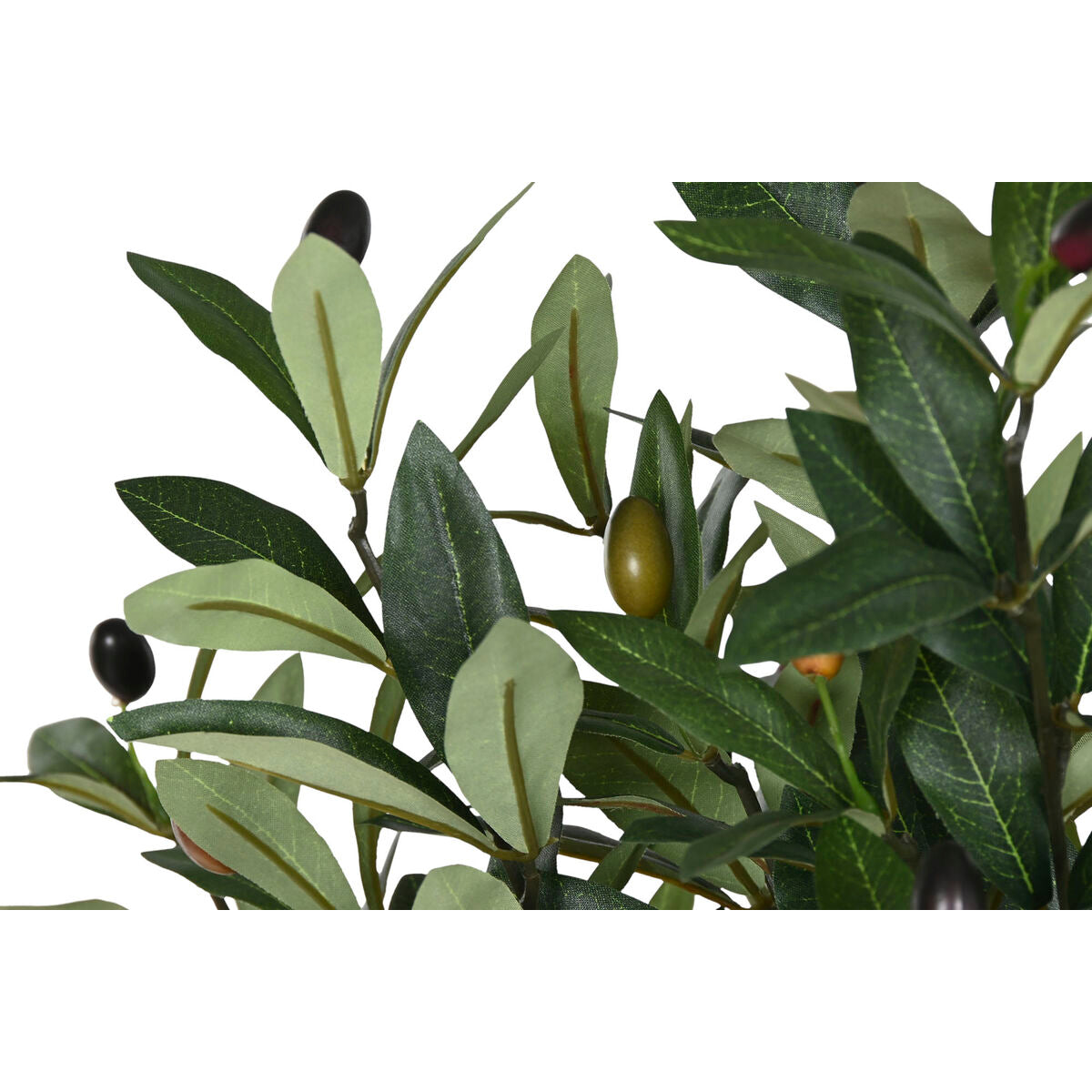 V3H078F598D4D2044626A7D66570D76243CR7521907P2