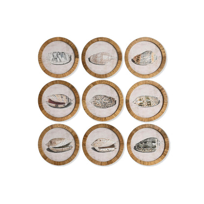 V3H73ADE1F988C38EE2289F1A1903A31F50R7422546P4