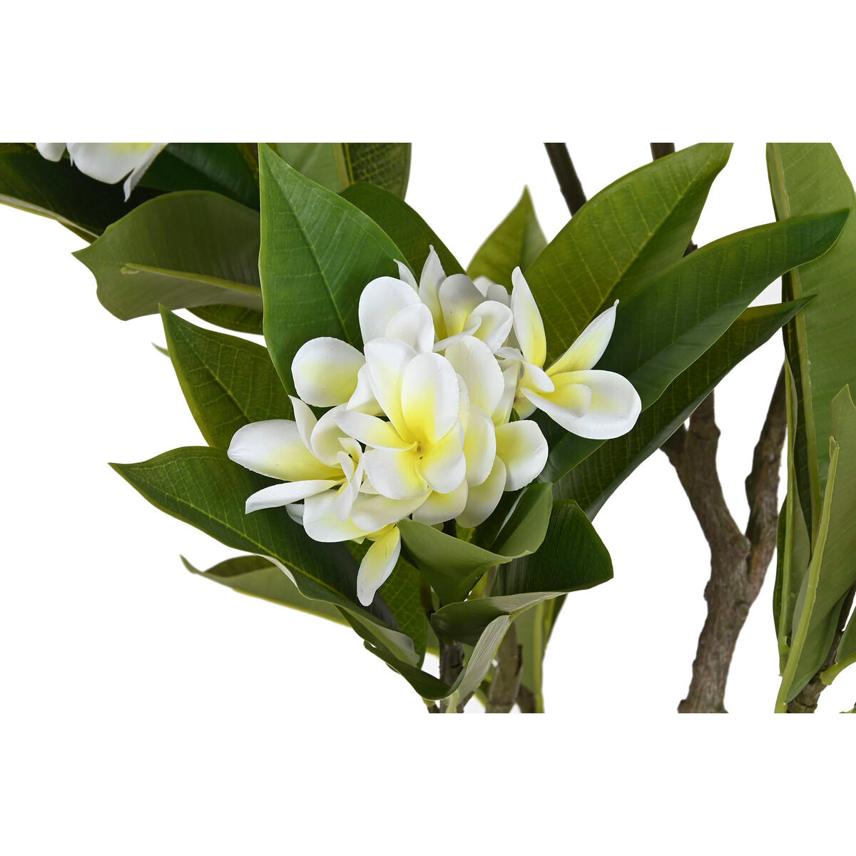 V4H0799B77D896F50EFE941F293E8B1B4EAR5676124P2