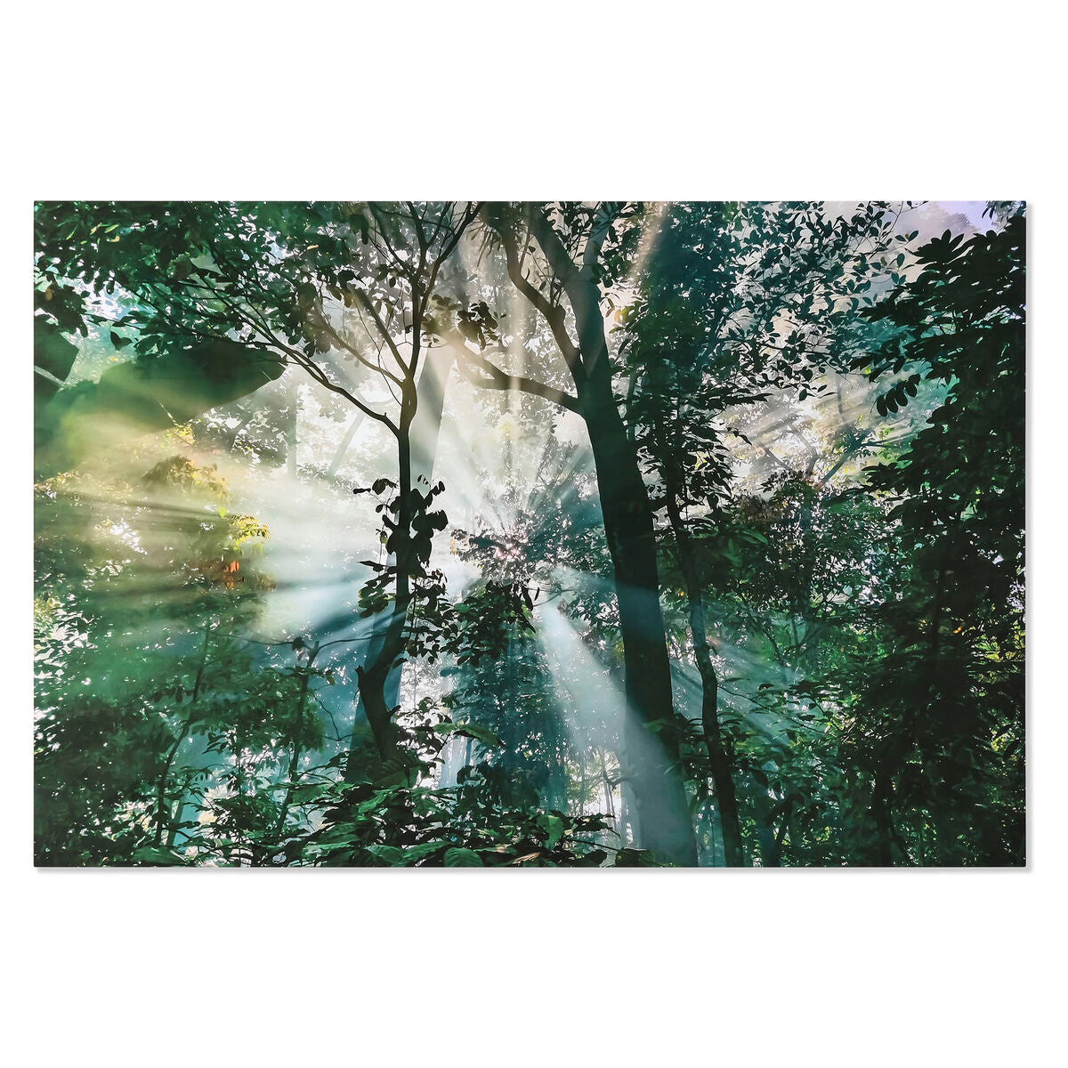 V6HBD14B40FBA0F91980D1ED2F4D3A49DC5R6373186P1