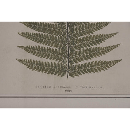 V3HB84321E047DE7247B804F1C421077A59R7429297P3