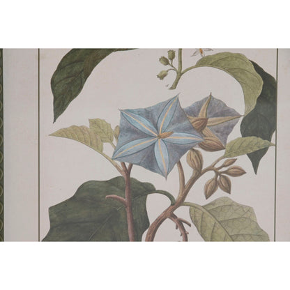 V3H6A1B301614B01879EA22F7B9EC585084R7429467P3