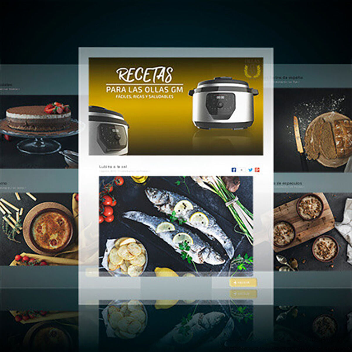 V11H91241C7F0DC2B942FCCAF58E2345C4BCR1909905P4