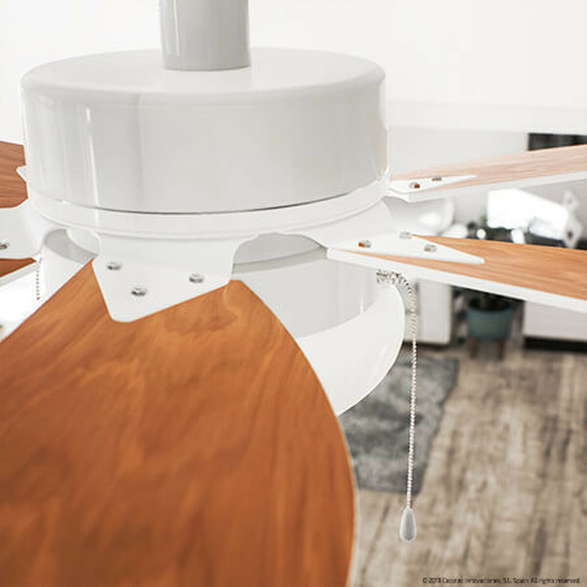 V11H0732AF5C07A2874B636E3B917578439CR3888263P2