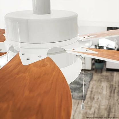 V11H0732AF5C07A2874B636E3B917578439CR3888263P2