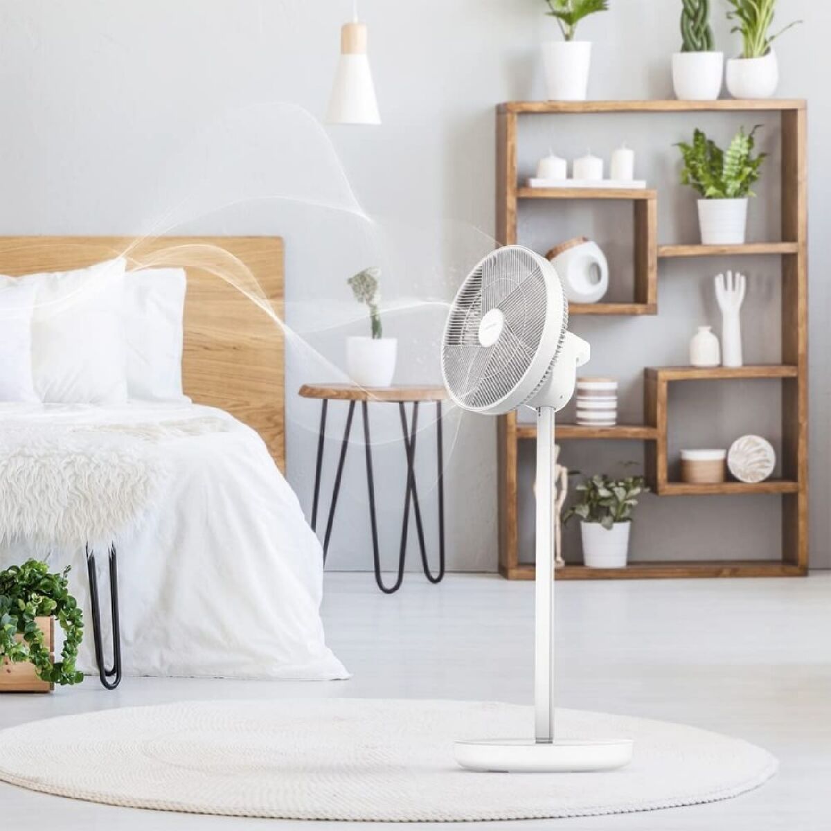 V6HD9D108A2B3C0CADAAA824FB58B004879R3224638P3