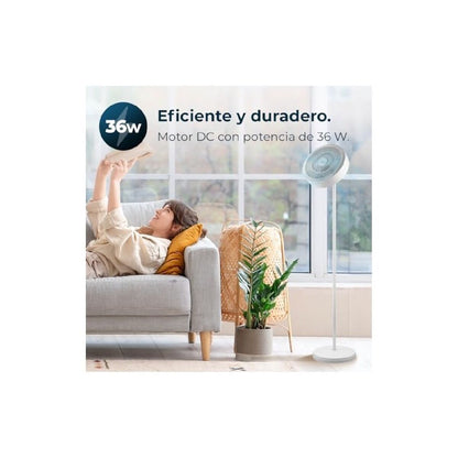 V4HAF827166696C9D88795879A71F1C3A6AR5175782P2