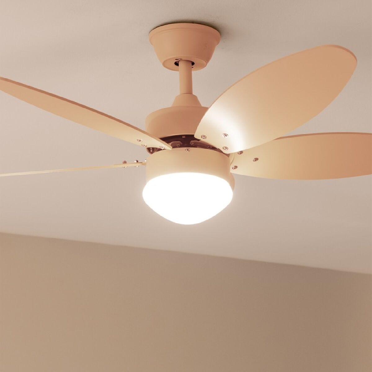 V4H507BBBF29F5B0AB2F7CBAF162801842BR5322233P2