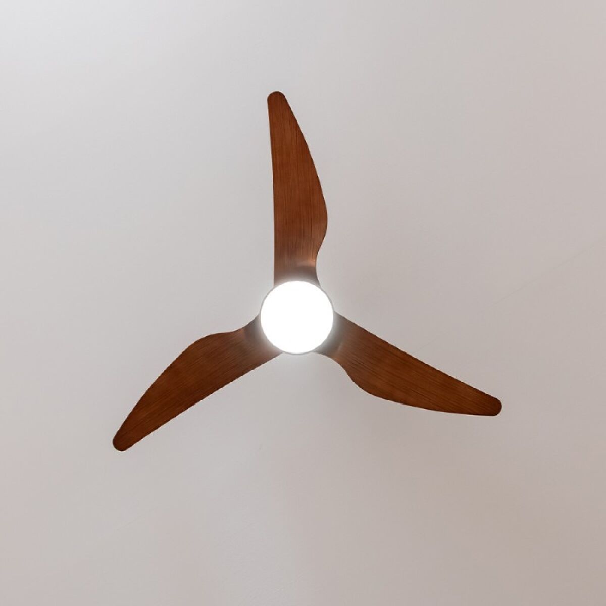 V4HEF6E5E6DEA0DBC1654142D49702206EAR5322183P3