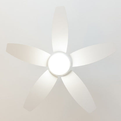 V4HBF3E6DCCB574B40C06A9533F305F52B1R5321981P4