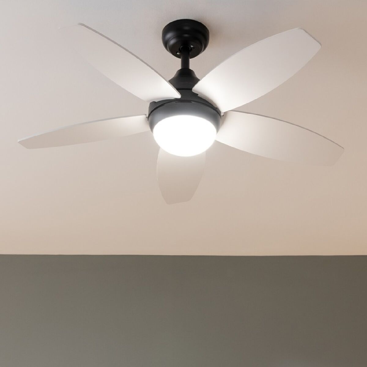 V4H25F469E055A0500601E6359ED0A6E5AER7402683P2