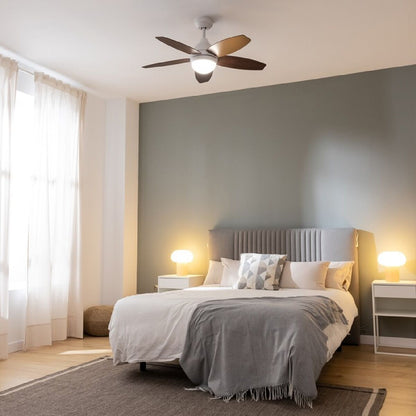 V4HFB1ED2D4A773FFA24C5834B5961554F8R5322017P3