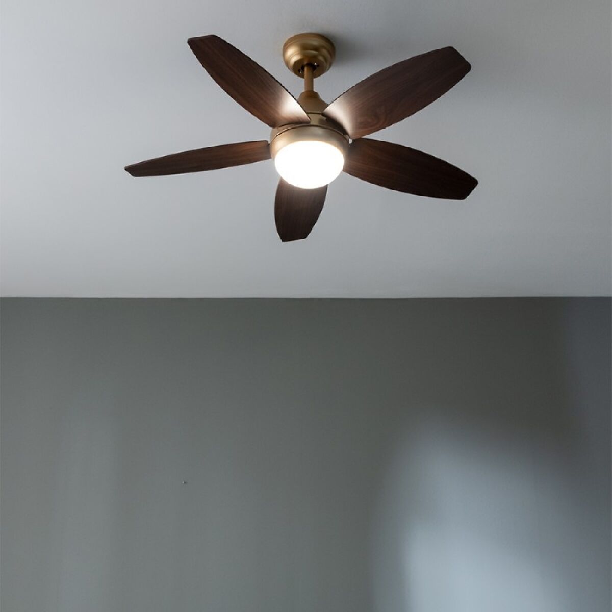 V4HF2CC269BD6D3661F904539519B33F6DDR5321971P2