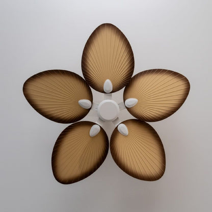 V5H5F99B33A1E4F8075DE786D1A5DDE2F25R7345205P4