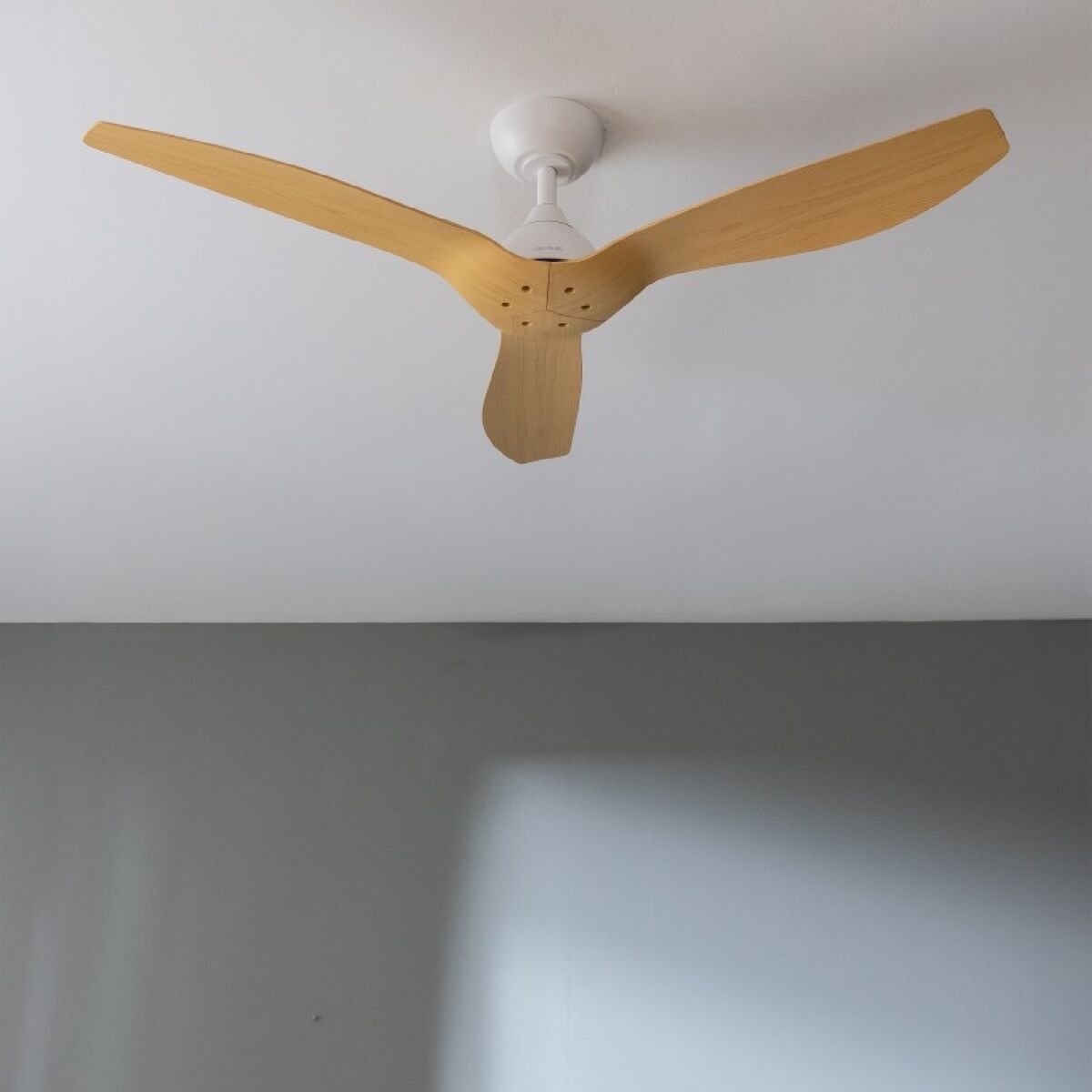 V4H7D46F436208BB4A89B1AC34F0E40B669R5176024P2