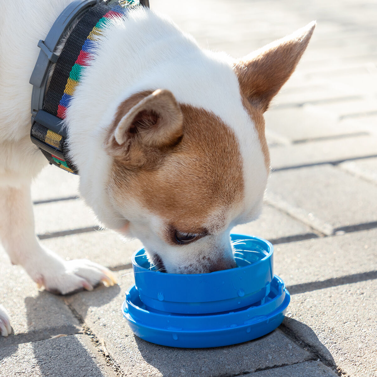 V10H9D42A2DE437D3F21301E957840C9D84BR4145852P7