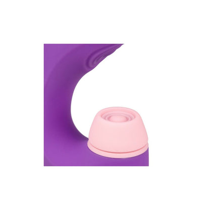 V1H44DA1ED73271995E28DED9DE4BA57EB5RP7