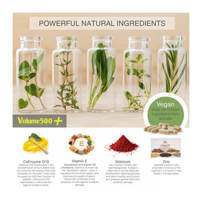 V6H6B7C2E24BAF0651E2C7CB2C0EF6371E5R4804244P3