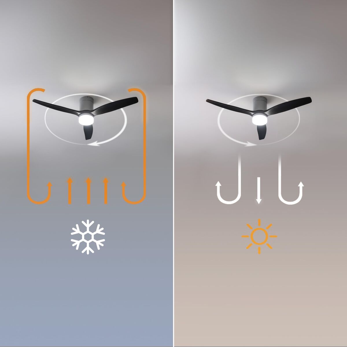 V2H5B320C8274F4175CC900CD248AAB6E03R7708835P7