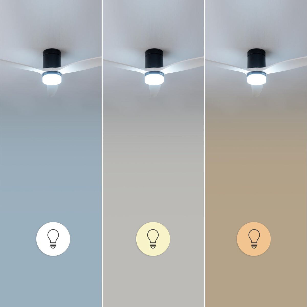 V2H7345C1F1FBBF21D62A81BCF8EB73F607R7708781P6