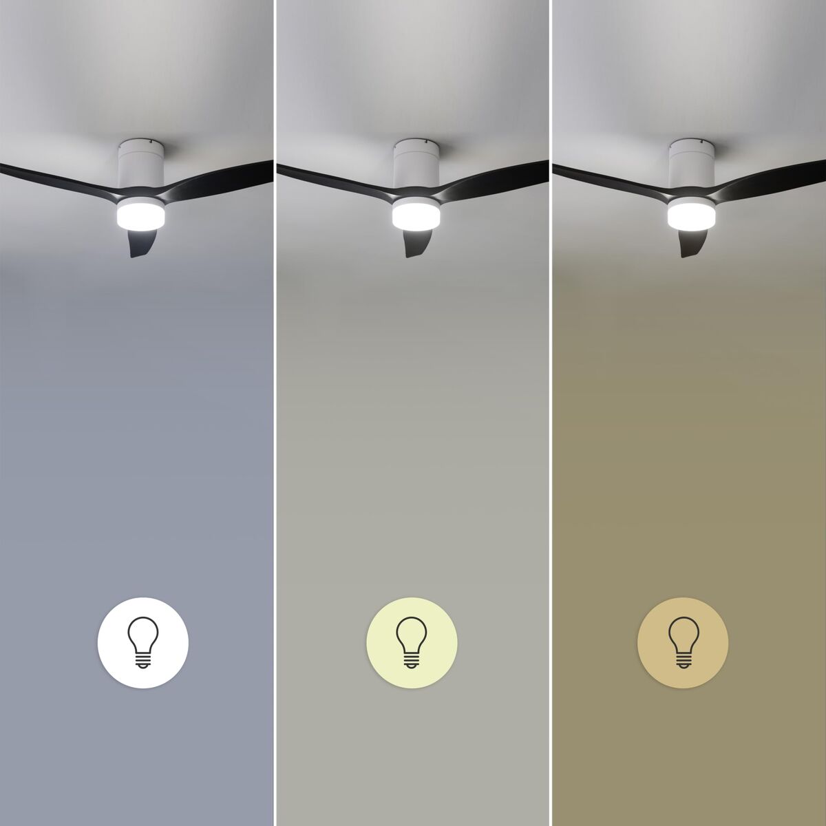 V2H9FFB43CDEEE26B9AAE815B9178ACE358R7708834P6