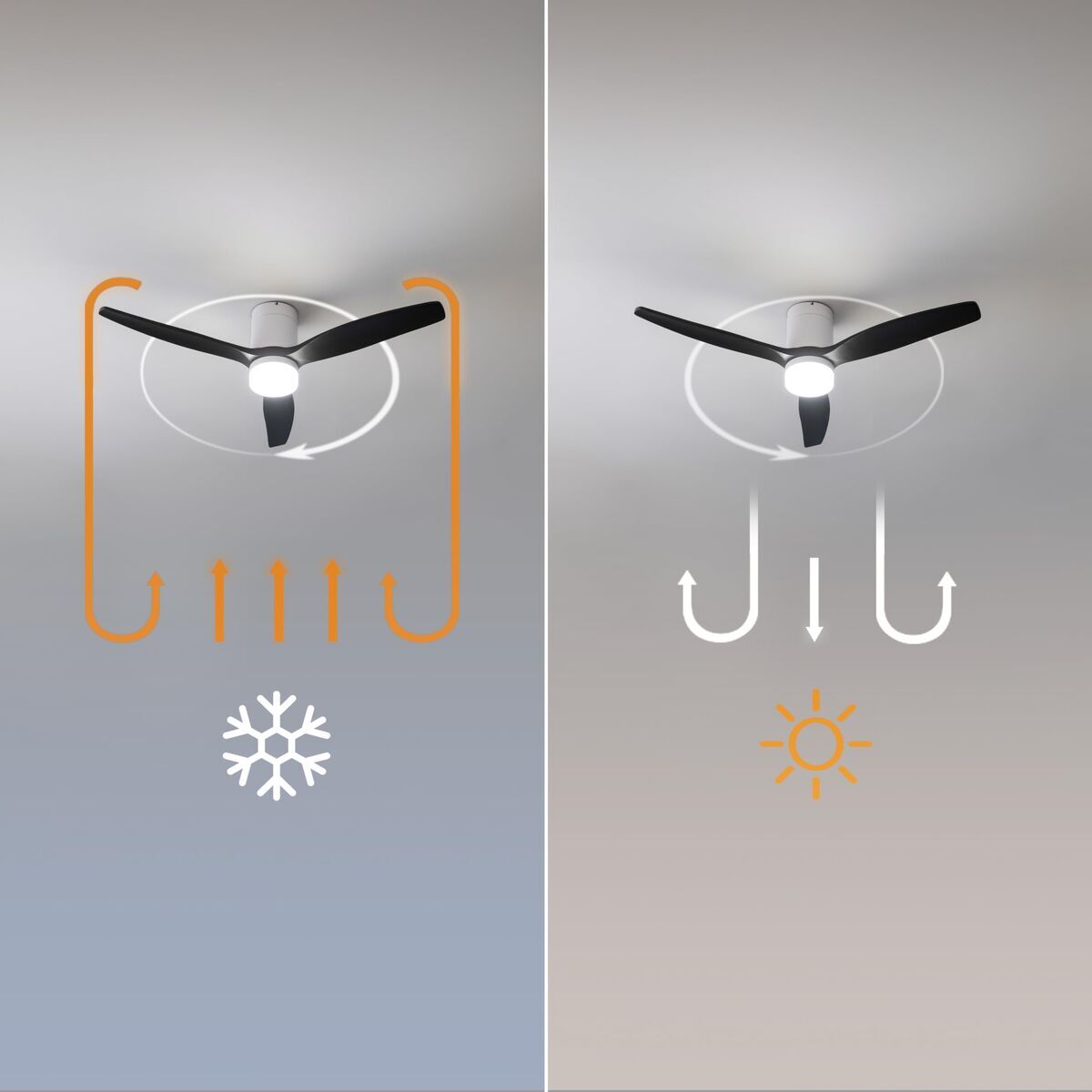 V2HA5B7F218FDDC3A5F5CBAB714017B8DC9R7708841P8