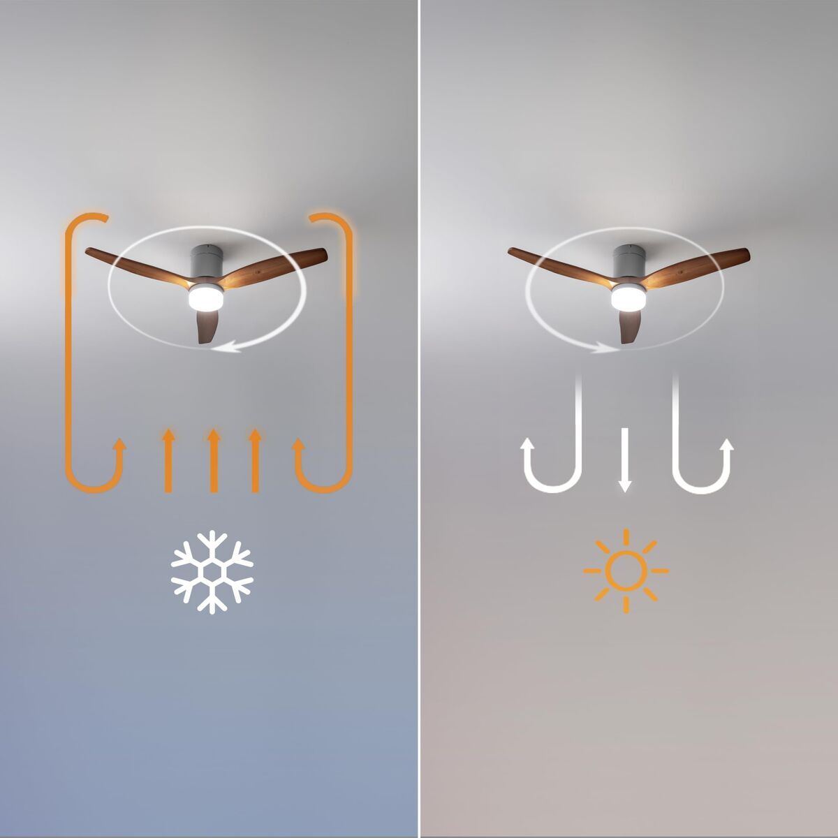 V2H7CFE3DF39177817B8E7C4019FBECB980R7708870P8