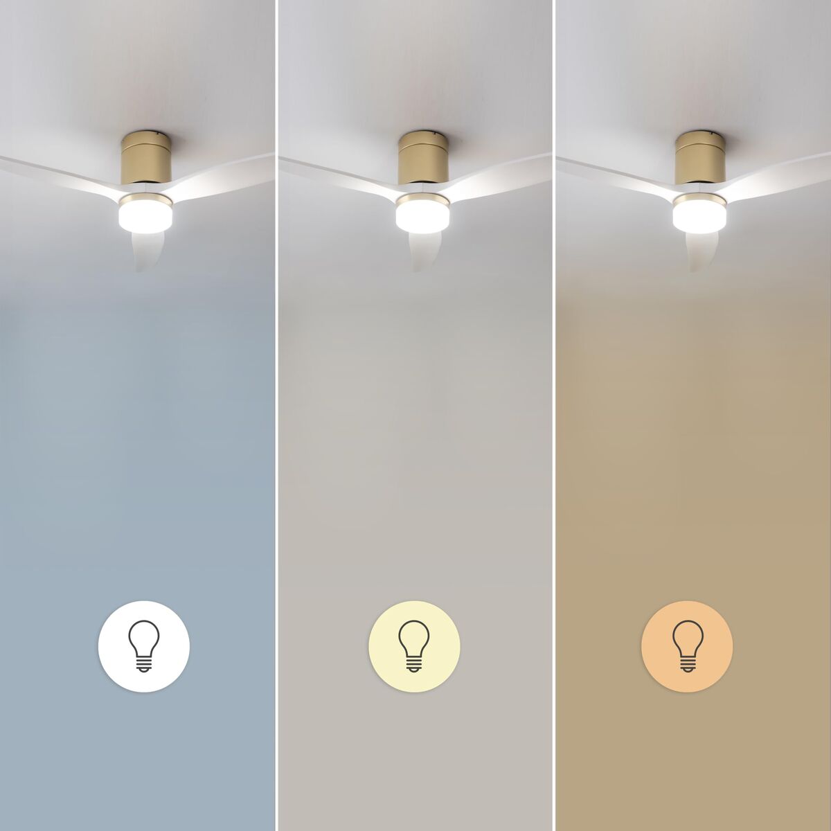 V2H52104B828001F7254B5B55E9C0C07824R7708904P6