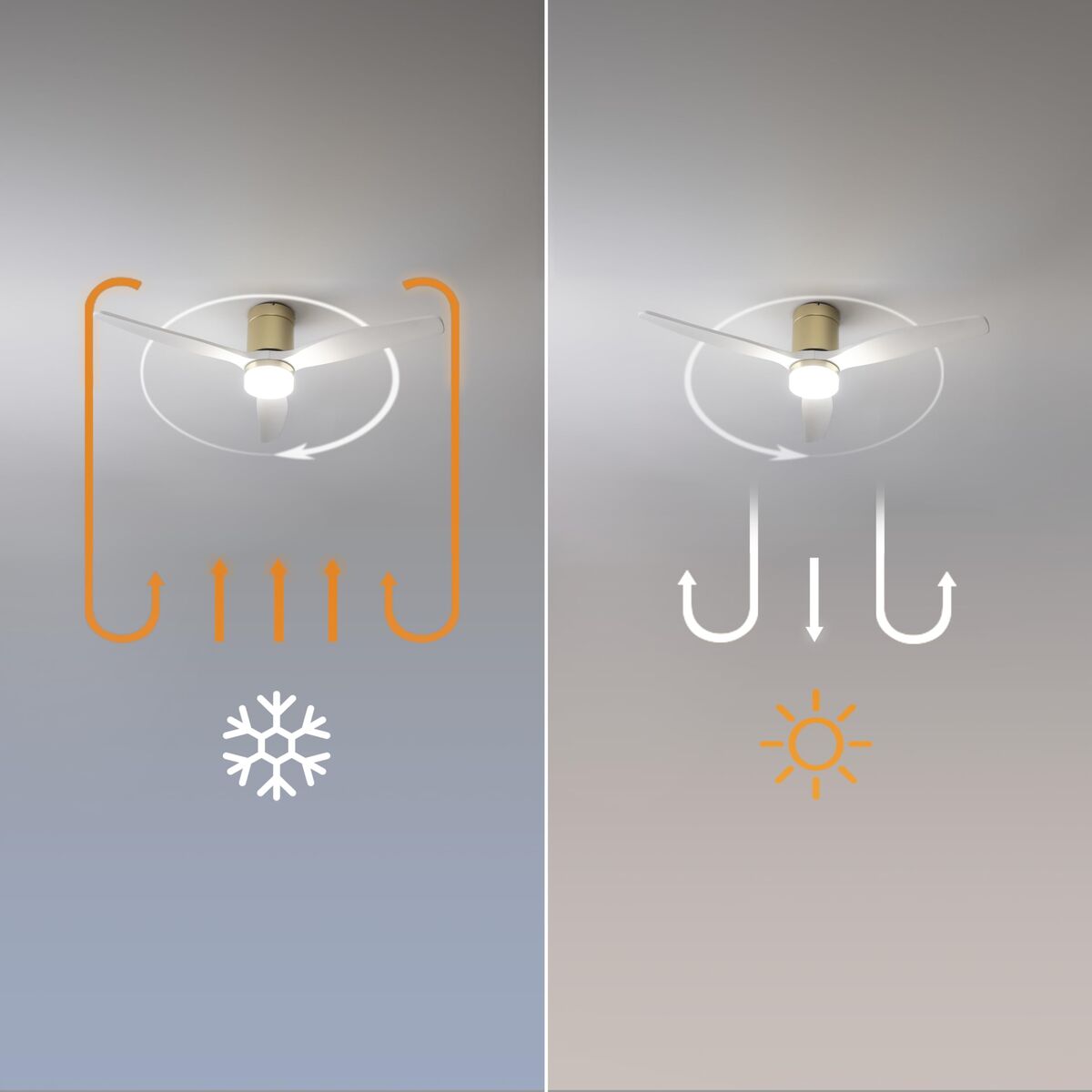 V2HF605465FFE56311DCF67B0C9030DF5D6R7708905P7