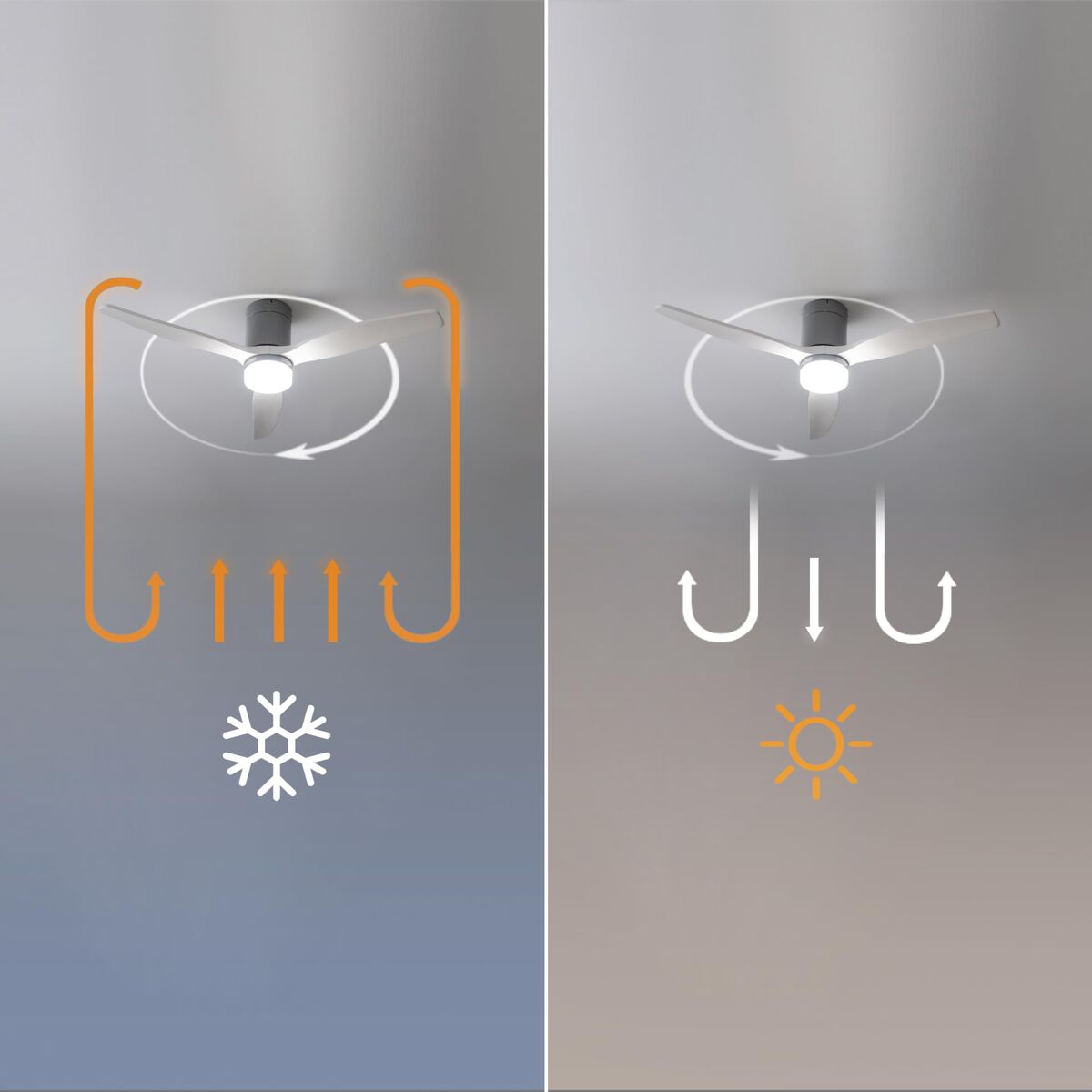 V2H6F02285063AFF4C1C6F151B4348C6B2FR7708920P7