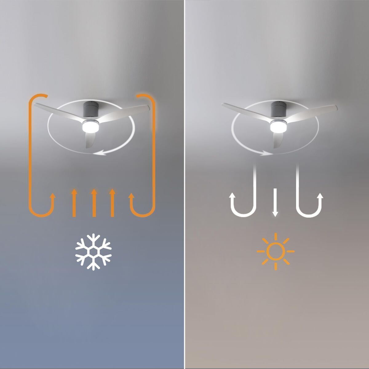 V2H78ABCC3CD93EC38DF4288AF4D5D7DE08R7708922P8